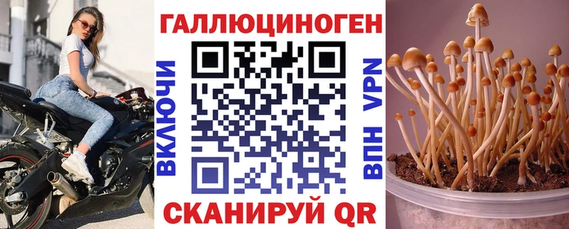 Галлюциногенные грибы мухоморы Вологда